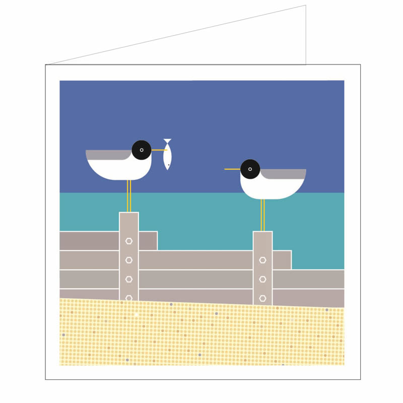 Pecking order greeting card