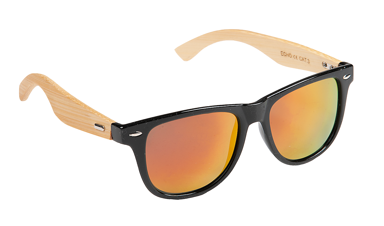 Echo polarised sunglasses